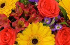 Yellow gerbera daisies are the centerpiece in this bouquet of mixed flowers