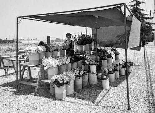 Alicia Robinson matches flowers under the tarp of our roadside booth in the 1970s